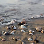 Enjoy The Sea From Our Relaxing Flat Бібіоне