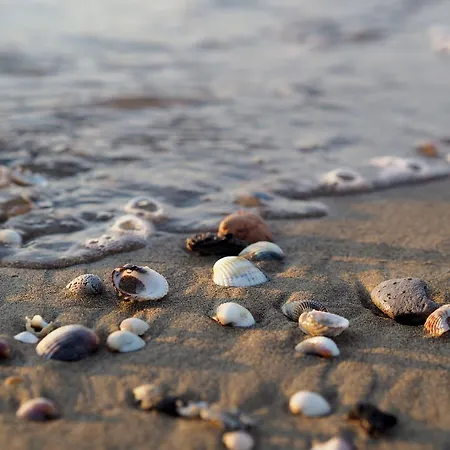 Enjoy The Sea From Our Relaxing Flat Бибионе