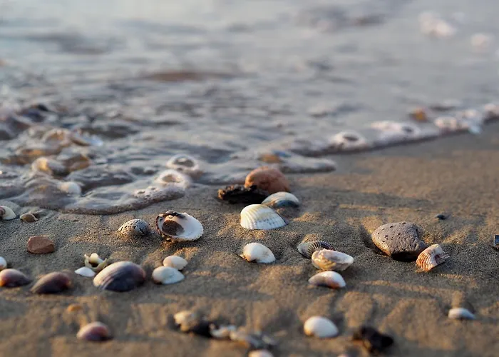 Enjoy The Sea From Our Relaxing Flat Bibione